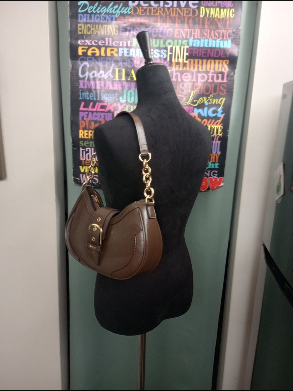 ALDO Dark Brown Crescent Shoulder Bag with Gold Hardware
